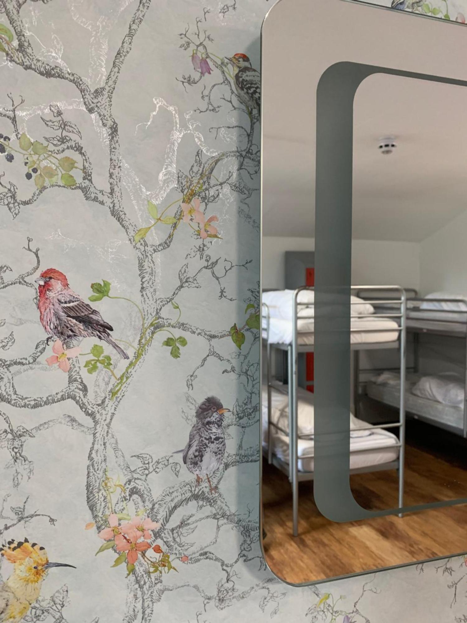 Bunk Bed Female Dormitory Room